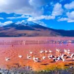 4. Laguna Colorada