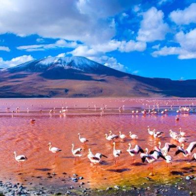 4. Laguna Colorada