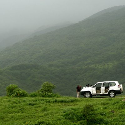 Salalah - Lush wadis